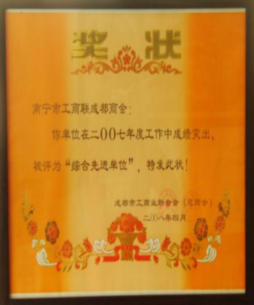 2007年度荣获综合先进单位奖