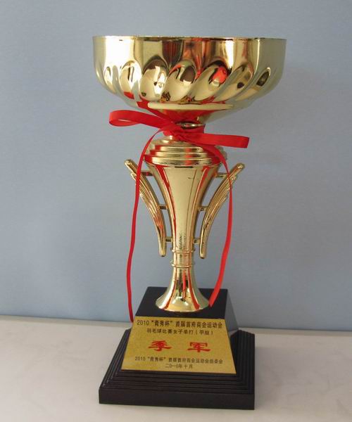 2010年青秀杯商运会获羽毛球比赛女子单打甲组季军