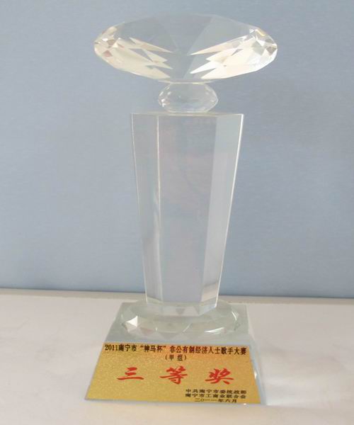 2011年南宁“神马杯”非公人士歌手大赛获甲组三等奖